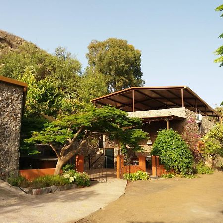 Peaceful House Set On A Vineyard & Work Friendly Valsequillo de Gran Canaria Exterior foto