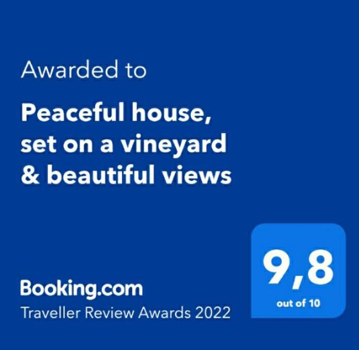 Peaceful House Set On A Vineyard & Work Friendly Valsequillo de Gran Canaria Exterior foto