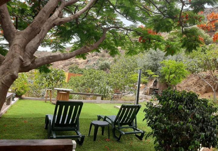 Peaceful House Set On A Vineyard & Work Friendly Valsequillo de Gran Canaria Exterior foto