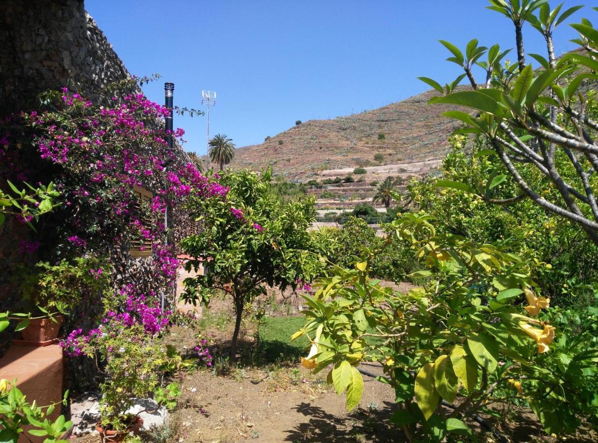 Peaceful House Set On A Vineyard & Work Friendly Valsequillo de Gran Canaria Exterior foto