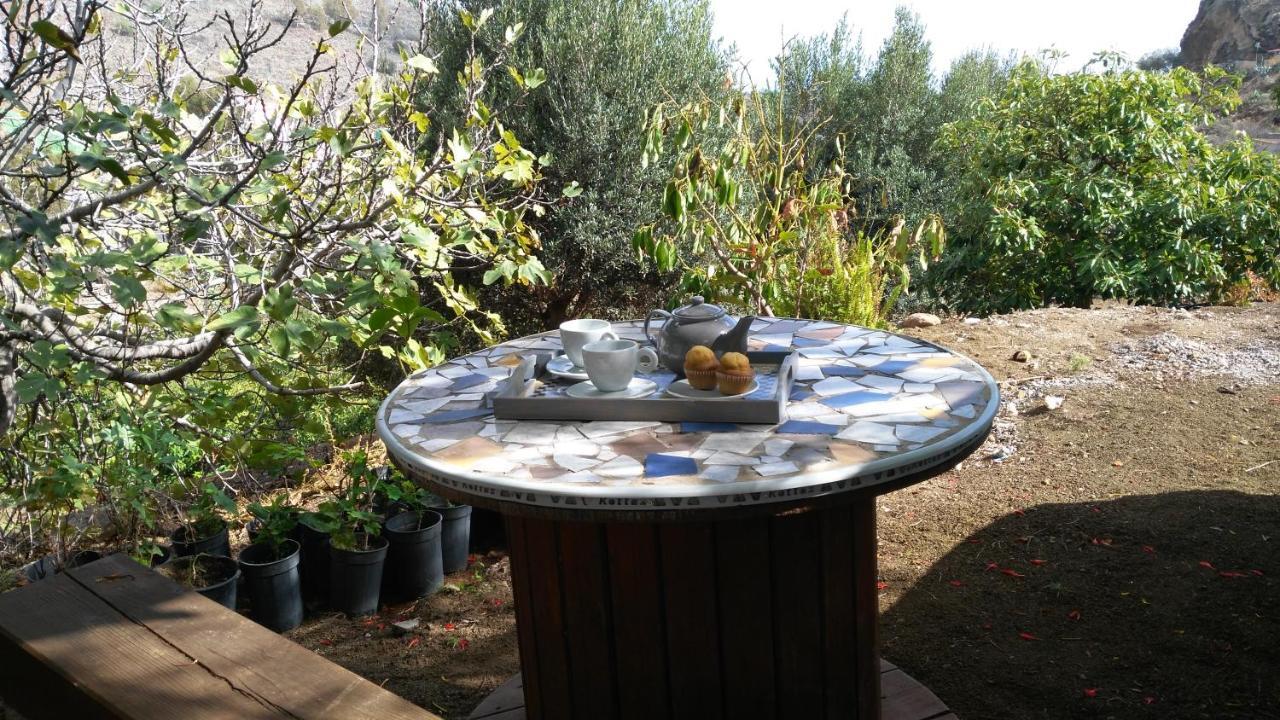 Peaceful House Set On A Vineyard & Work Friendly Valsequillo de Gran Canaria Exterior foto